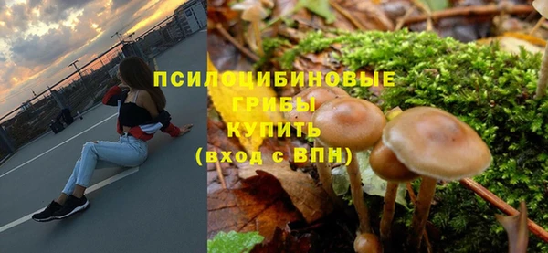 мескалин Абаза