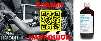МДПВ Кингисепп