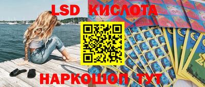 МДПВ Кингисепп