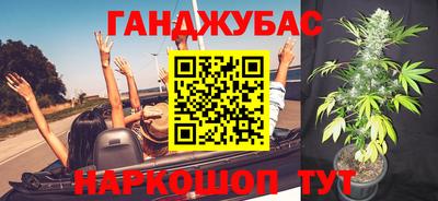 МДПВ Кингисепп
