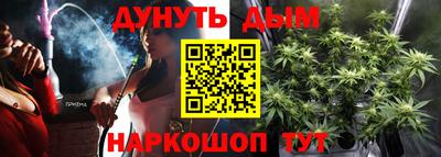 МДПВ Кингисепп