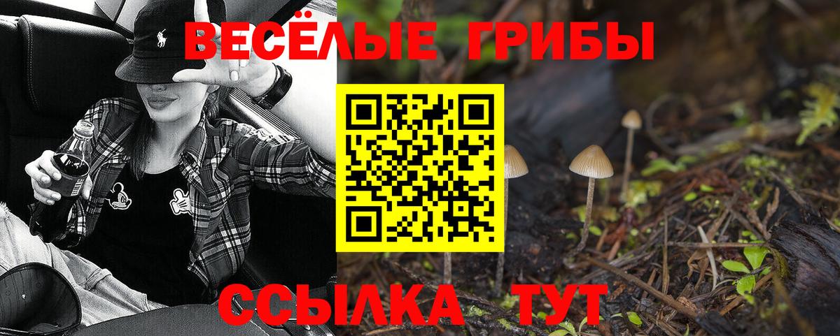 Псилоцибиновые грибы мухоморы Миллерово